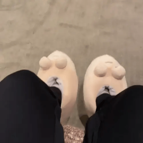 Pou™ Slippers